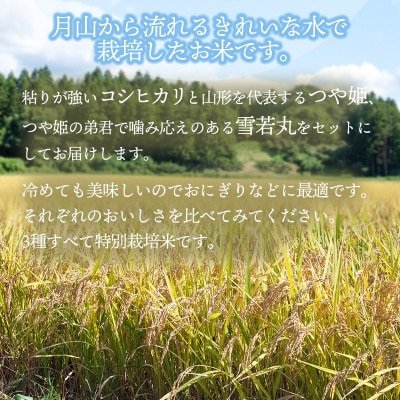 【令和6年産米】黒川まるいし農場のコシヒカリ・つや姫・雪若丸 精米 各2kg　K-639