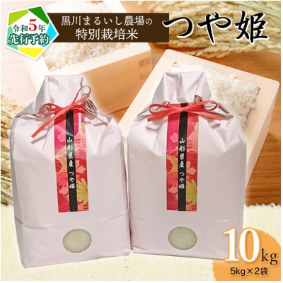【令和5年産米】黒川まるいし農場の特別栽培米つや姫 精米 10kg(5kg×2袋)　A55-007