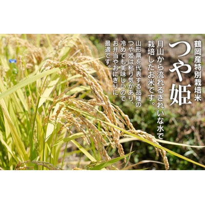 【令和5年産米】黒川まるいし農場の特別栽培米つや姫 精米 10kg(5kg×2袋)　A55-007
