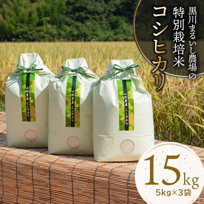 【令和6年産米】黒川まるいし農場のコシヒカリ 精米 15kg(5kg×3袋)　K-696