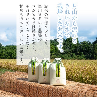 【令和6年産米】黒川まるいし農場のコシヒカリ 精米 15kg(5kg×3袋)　K-696
