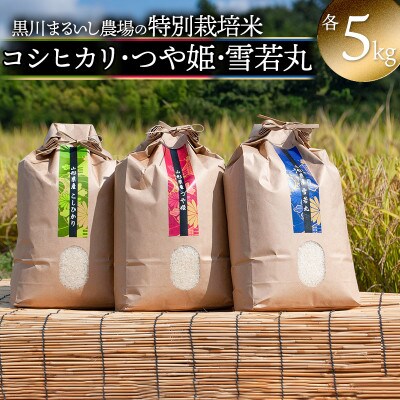 【令和6年産米】黒川まるいし農場のコシヒカリ・つや姫・雪若丸 精米 各5kg　K-699