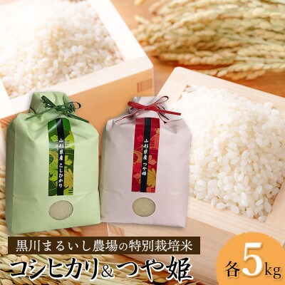 【令和6年産米】黒川まるいし農場の特別栽培米つや姫・コシヒカリ 精米 各5kg　A66-002
