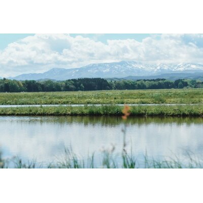 【令和7年産】黒川まるいし農場の特別栽培米つや姫2kg[K-722]