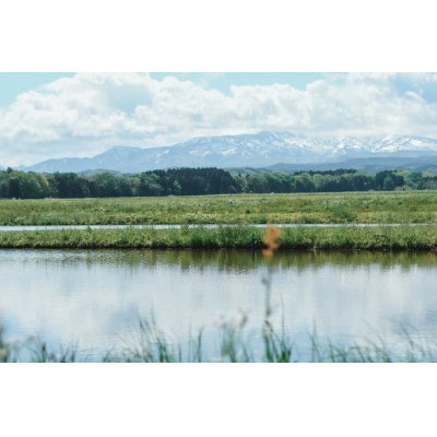 【令和7年産】黒川まるいし農場の特別栽培米雪若丸 精米 2kg[K-721]