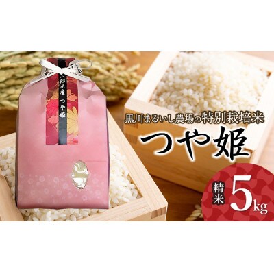 【令和7年産】特別栽培米つや姫 精米 5kg 黒川まるいし農場[K-747]