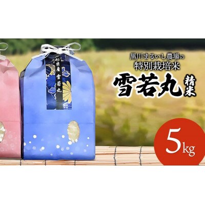 【令和7年産】特別栽培米雪若丸 精米 5kg 黒川まるいし農場[K-745]