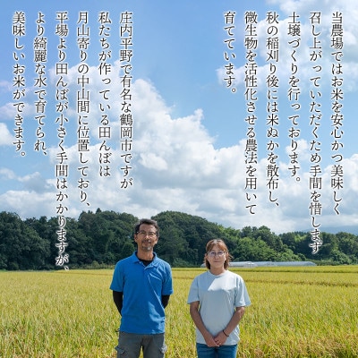 【令和7年産】特別栽培米雪若丸 精米 5kg 黒川まるいし農場[K-745]