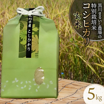 【令和7年産】特別栽培米コシヒカリ 玄米 5kg 黒川まるいし農場[K-740]