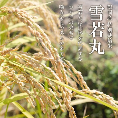 【令和8年産】黒川まるいし農場の特別栽培米雪若丸精米2kg[K-816]