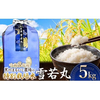 【令和8年産】特別栽培米雪若丸精米5kg[K-837]