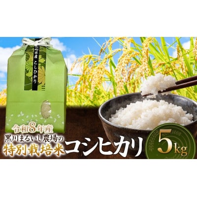 【令和8年産】特別栽培米コシヒカリ精米5kg[K-837]
