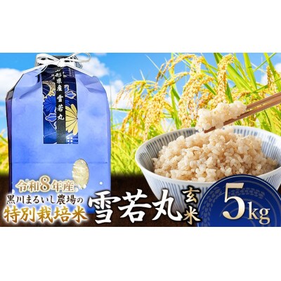 【令和8年産】特別栽培米雪若丸玄米5kg[K-834]