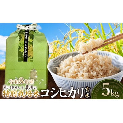 【令和8年産】特別栽培米コシヒカリ玄米5kg[K-834]