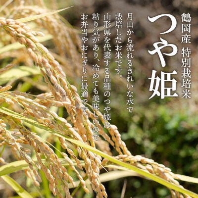 【令和8年産】黒川まるいし農場のつや姫精米10kg(5kg×2)[K-881]