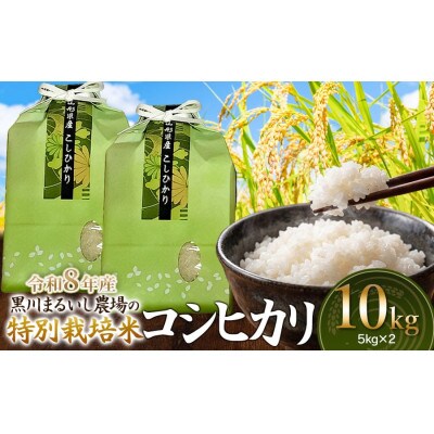 【令和8年産】特別栽培米コシヒカリ精米10kg(5kg×2)[K-875]