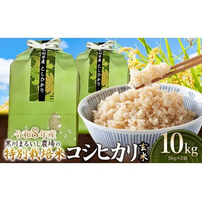 【令和8年産】特別栽培米コシヒカリ玄米10kg(5kg×2)[K-874]