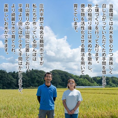 【令和8年産】黒川まるいし農場の特別栽培米コシヒカリ・つや姫・雪若丸各3kg精米[K-866]