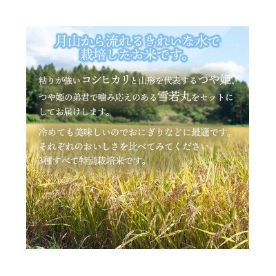 【令和8年産】黒川まるいし農場の特別栽培米コシヒカリ・つや姫・雪若丸各3kg精米[K-866]