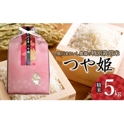 【毎月定期便】特別栽培米つや姫5kg[K-840]全3回