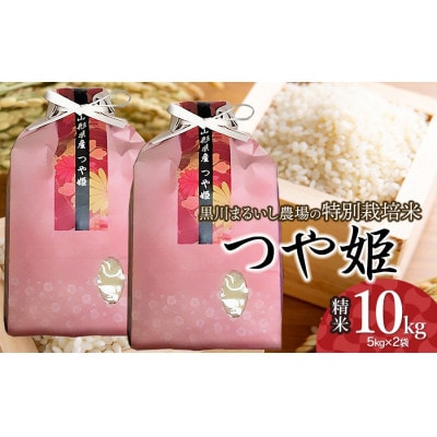 【毎月定期便】黒川まるいし農場のつや姫10kg(5kg×2)[K-881]全6回