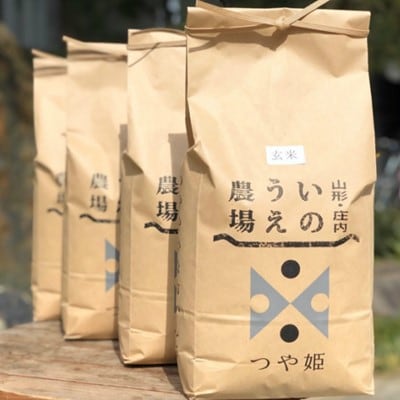 【令和2年産】井上農場のつや姫【玄米】20kg(5kg×4袋)