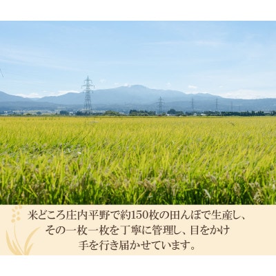 井上農場のコシヒカリ無洗米6kg(2kg×3袋)