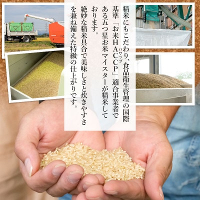 【令和5年産】井上農場のつや姫【玄米】12kg(5kg×2+2kg)B15-001