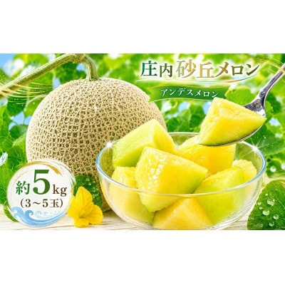 庄内砂丘アンデスメロン (青肉) 秀品 約5kg (3～5玉) [K-835]