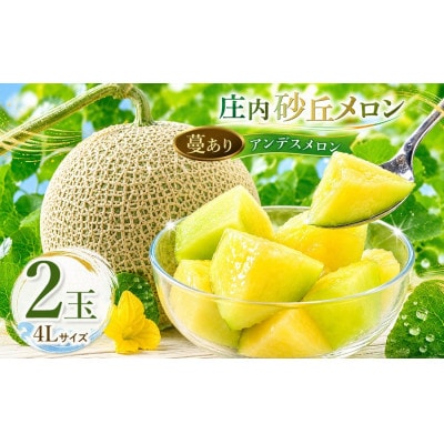 【令和9年産】菅原農園の庄内砂丘アンデスメロン(4L・2玉)【7月下旬～8月上旬発送】[K-920]
