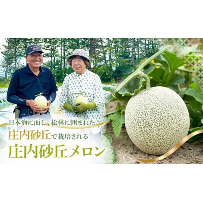 【令和9年産】菅原農園の庄内砂丘アンデスメロン(4L・2玉)【7月下旬～8月上旬発送】[K-920]