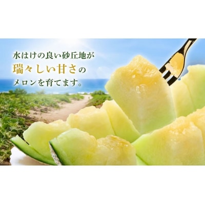 【令和9年産】菅原農園の庄内砂丘アンデスメロン(4L・2玉)【7月下旬～8月上旬発送】[K-920]