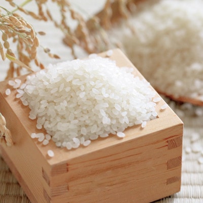 伝説の庄内米　つや姫 5kg〈令和5年産　山形県庄内産〉