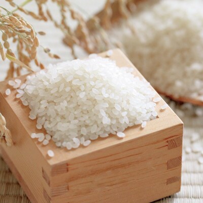 伝説の庄内米　つや姫 10kg〈令和5年産　山形県庄内産〉