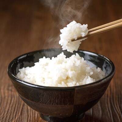 伝説の庄内米　4種食べ比べ〈令和4年産　つや姫・コシヒカリ・雪若丸・はえぬき〉