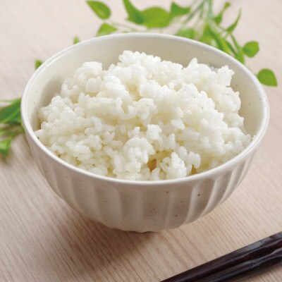 伝説の庄内米　コシヒカリ 10kg〈令和5年産　山形県庄内産〉
