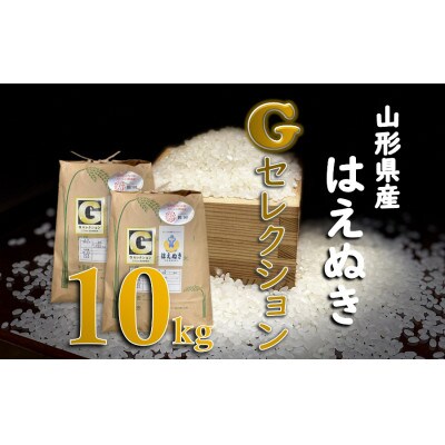 【令和4年産】　山形県鶴岡産　Gセレクション はえぬき　お米　精米　10kg(5kg×2袋)