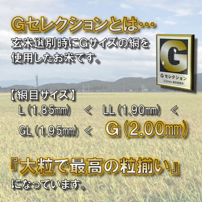 【令和4年産】　山形県鶴岡産　Gセレクション はえぬき　お米　精米　10kg(5kg×2袋)