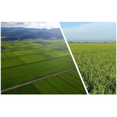 【令和4年産】　山形県鶴岡産　Gセレクション はえぬき　お米　精米　10kg(5kg×2袋)