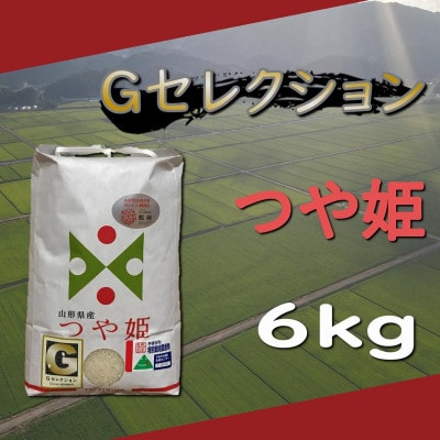 【令和5年産】山形県鶴岡産　Gセレクション つや姫　精米　6kg　A05-001　