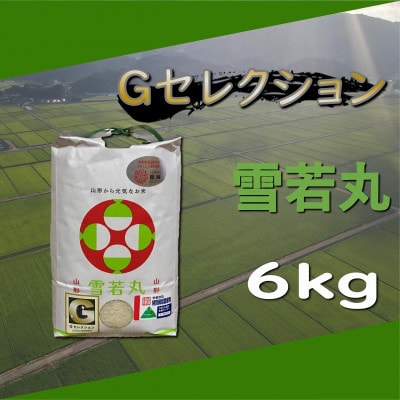 【令和5年産】山形県鶴岡産　Gセレクション 雪若丸精米　6kg　Z05-001　
