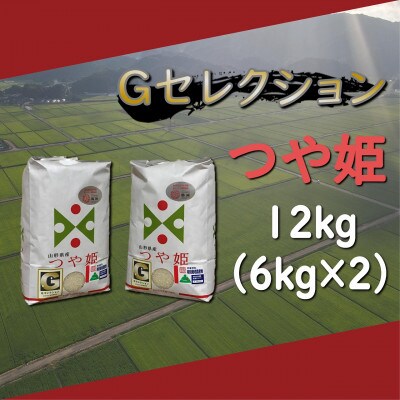 【令和5年産】山形県鶴岡産　Gセレクション つや姫精米　12kg(6kg×2袋)A85-001　