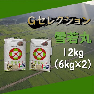 【令和5年産】山形県鶴岡産　Gセレクション 雪若丸精米　12kg(6kg×2袋)A75-001　