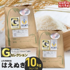【令和6年産】山形県鶴岡産 Gセレクション はえぬき 精米 10kg(5kg×2袋)A16-001