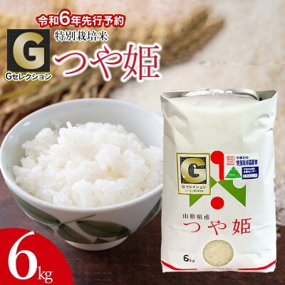 【令和6年産】山形県鶴岡産　Gセレクション つや姫　精米　6kg　A06-001　