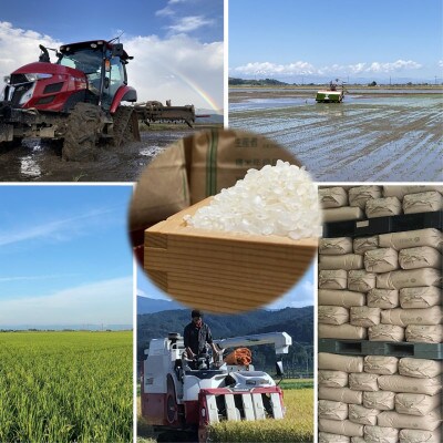 【令和6年産】山形県鶴岡産　Gセレクション つや姫・雪若丸精米　各6kg　A86-001　