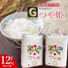 【令和6年産】山形県鶴岡産 Gセレクション つや姫精米 12kg(6kg&times;2袋)A86-002