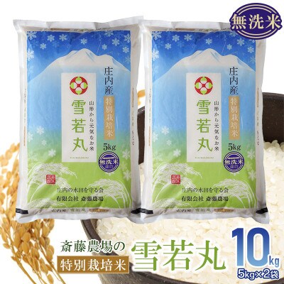 斎藤農場の特別栽培米雪若丸 無洗米10kg(5kg×2)A45-007　