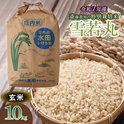 【令和7年産】斎藤農場の特別栽培米 雪若丸(玄米) 10kg×1袋 [K-7117]