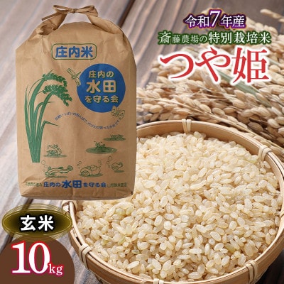 【令和7年産】斎藤農場の特別栽培米 つや姫(玄米) 10kg×1袋 [K-7117]